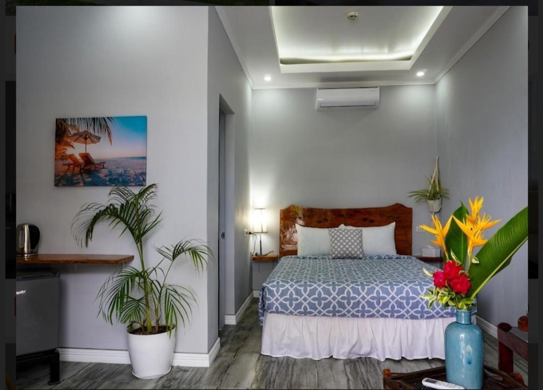 Hotel Palm View Moalboal Zewnętrze zdjęcie